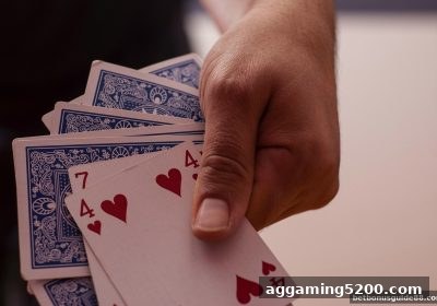 骰宝玩法全攻略：从零开始掌握经典博彩游戏